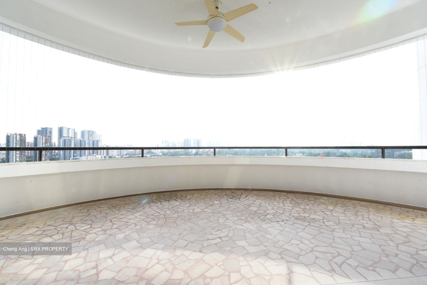 Regency Park (D10), Condominium #592209421